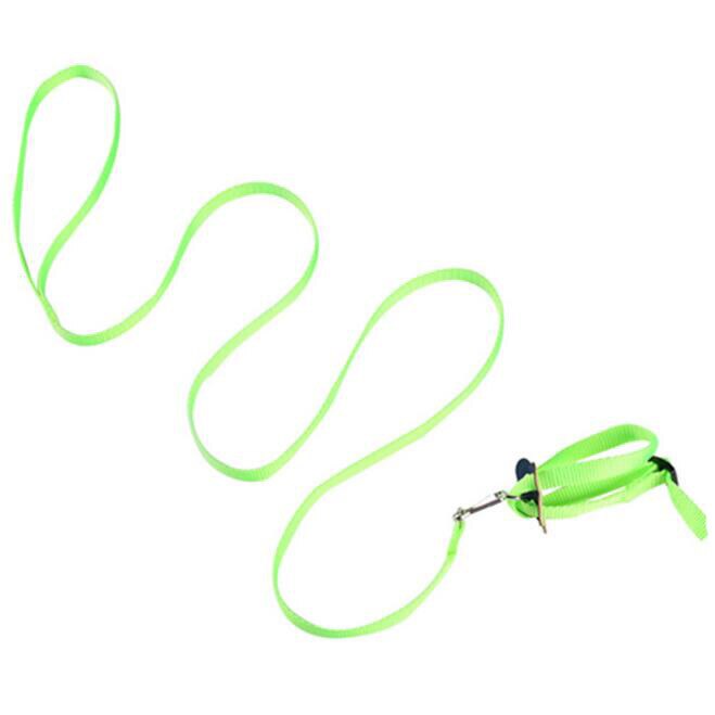 Anti-bite Flying Training Rope Parrot Bird Pet Leash Kits Soft Portable Pet Playthings Ultralight Harness Leash #W2G