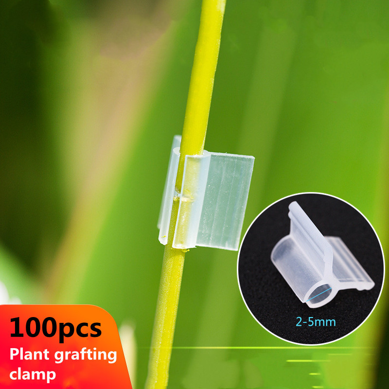 100 pièces Clips de greffage spéciaux, pince de greffage de semis de tomate, pinces de greffage d'aubergine pour greffage de semis de fleurs de légumes