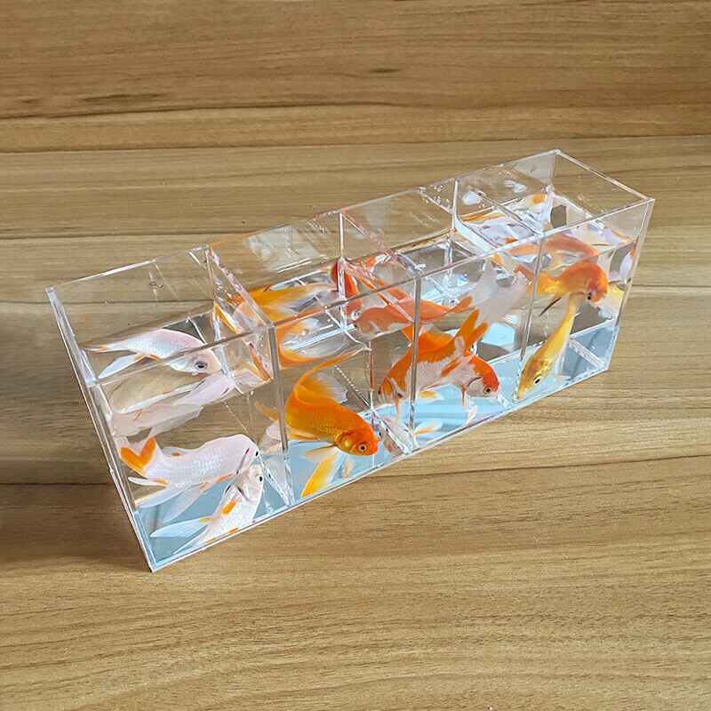 Réservoir de poissons séparé pour petits poissons Betta, Aquarium ouvert en acrylique Transparent pour plantes d&#39;eau, réservoir à tortue