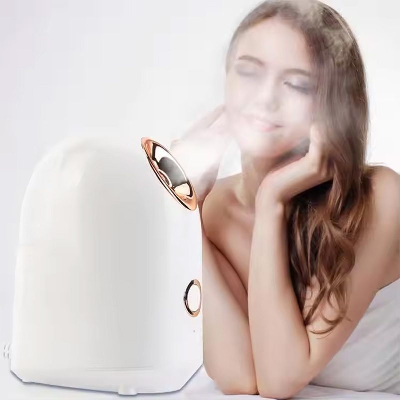 Profession elle nano ionische warme Nebel Home Face Sauna tragbare Luftbe feuchter Maschine tief sauber straffen die Haut täglich Feuchtigkeit