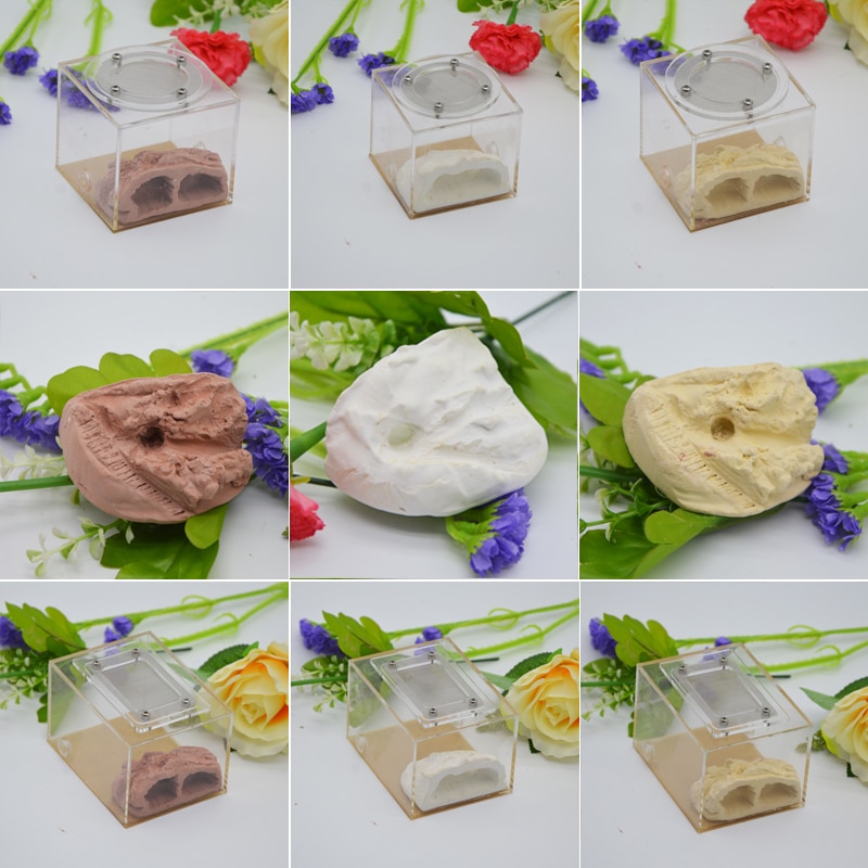 Imitation Ecological Ant Farm DIY Plaster Rockery Pet Ant Castle Landscaping Workshop Home Ants Farm House