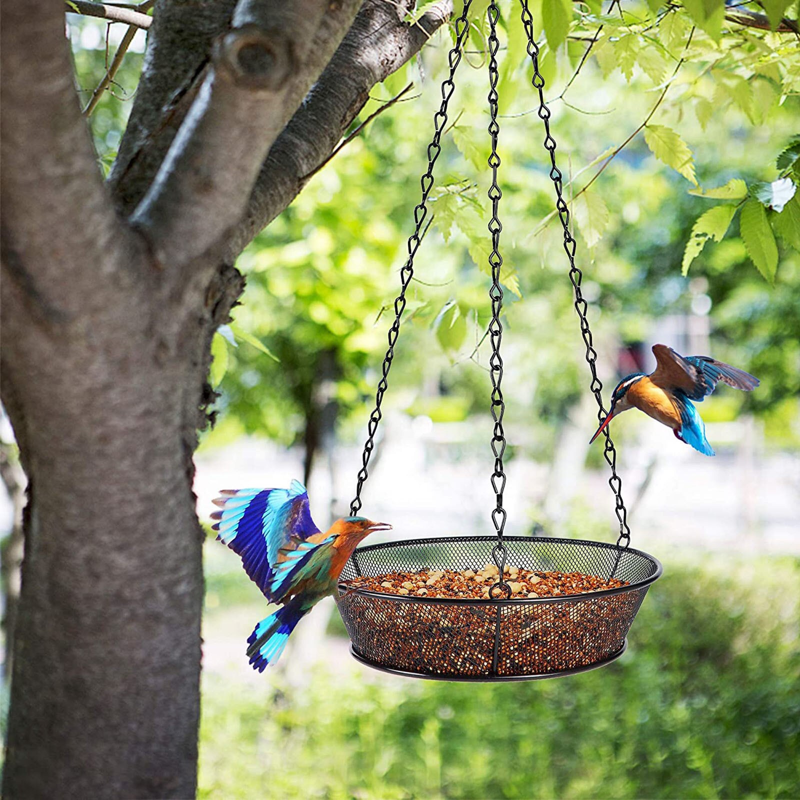 Clear Bird Feeders Glass Window Viewing Bird Feed Hotel Detachable Table Seed Peanut Hanging Suction Courtyard Feeder Tools