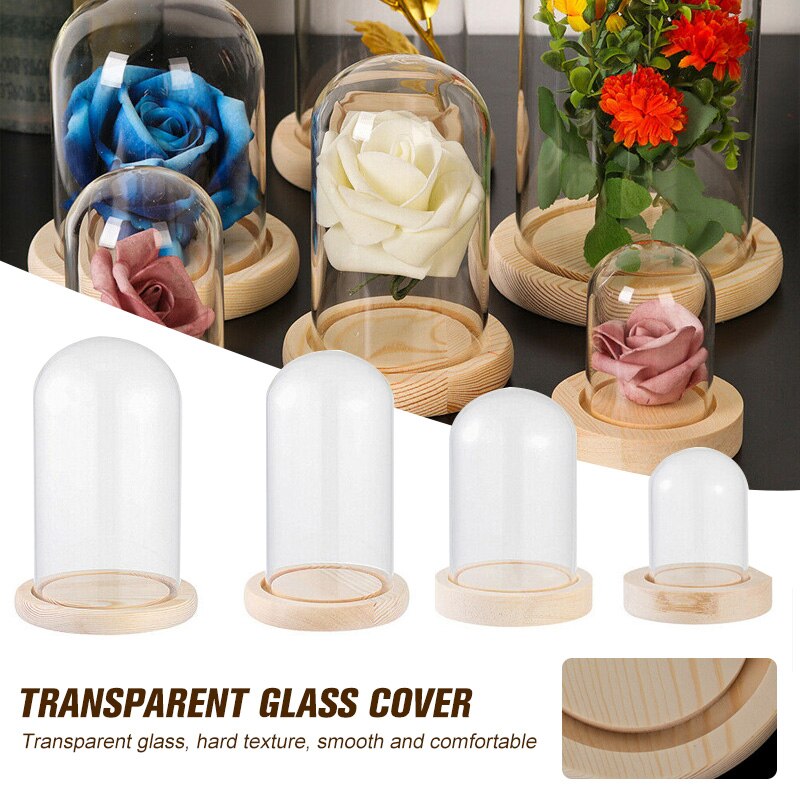 Klart glass display cloche bjelle ornamenter blomsterkrukke glassflaske med trebunn støvdeksel utstillingsboks udødelig blomsterkasse