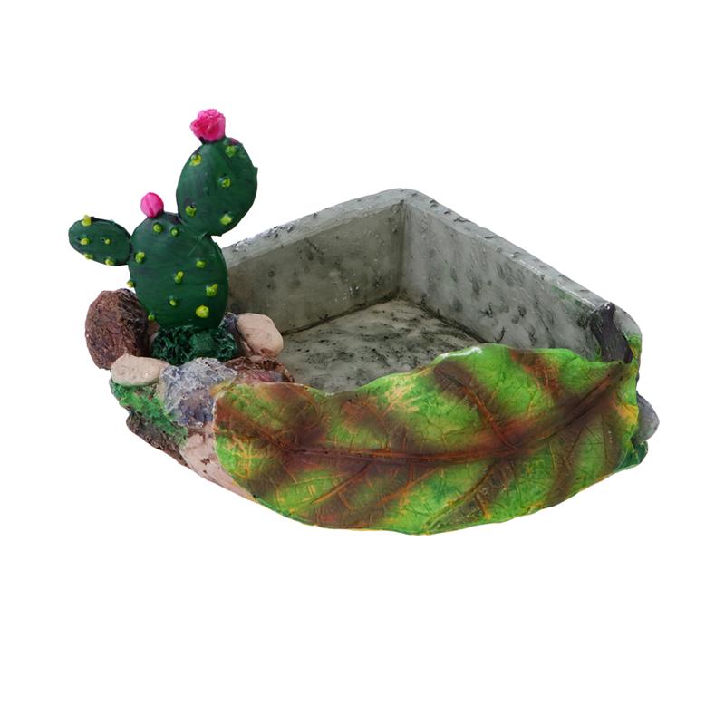 1Pcs Pet Food Bowl Reptile Drinking Dish Crawler Food Dish Pet Supplies for Reptile Tortoise Water Turtle Lizard Snake: 13x11CM