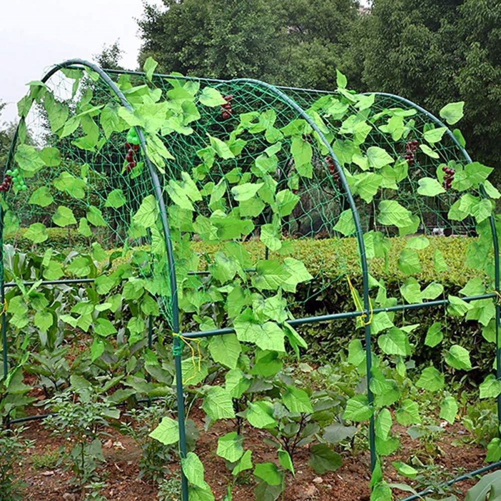 Malla de enrejado de plantas, Red de guisante ting, Red de jardín verde, malla de enrejado para frijoles, frutas, verduras, plantas trepadoras