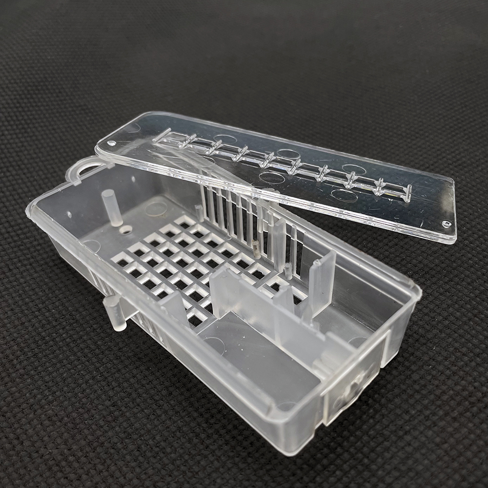 Jaula de plástico para transporte de apicultura, caja insectaria para abejas, para correo, novedad, Reina, inspección de viaje, receptor de , 10 piezas: Default Title