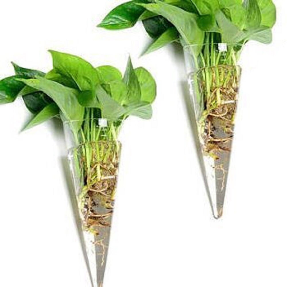 CSS Cone Hanging Glass Flower Planter Vase Terrarium Container Home Garden Decor