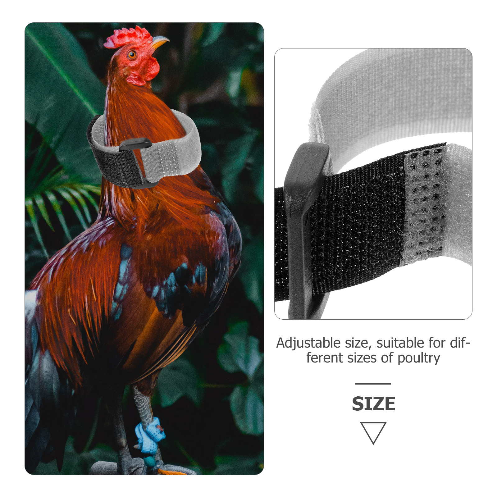8 Stuks Anti Kraaien Halsbanden Haan Noise Gratis Nekbanden Gevogelte Accessoires Flexibele Kip Halsbanden Boerderij Dieren Dragers Huisdier