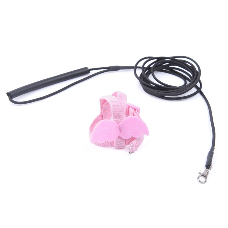 Ensemble de harnais pour perroquet, corde d&#39;entraînement en vol en plein air réglable avec aile pour petits et moyens oiseaux, perruche de calopsitte,: Pink