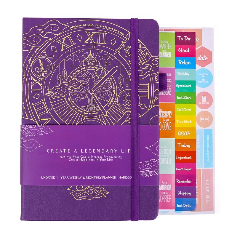 Hourly Schedule Edition Deluxe Weekly &amp; Daily Organizer with Time Slots Time Management Appointment Book: purple