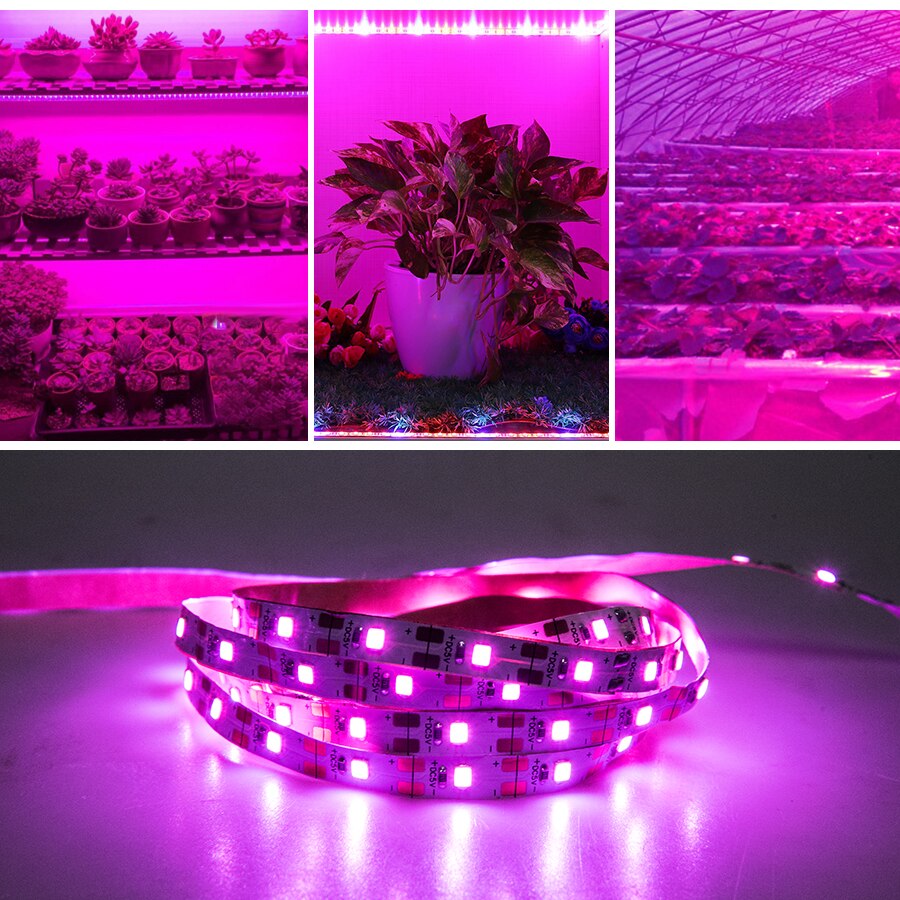 ledet vekstlys fullt spekter 0.5-3m 2835 smd 5v usb vokse lys stripe teip ledet phyto lampe til planter voksende plante lys teltboks