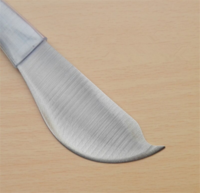 Kammusling kniv skaldyr skaldyr plukke skarp kniv skal musling åbning østers kniv kort kniv fisk og skaldyr kniv køkken gadgets