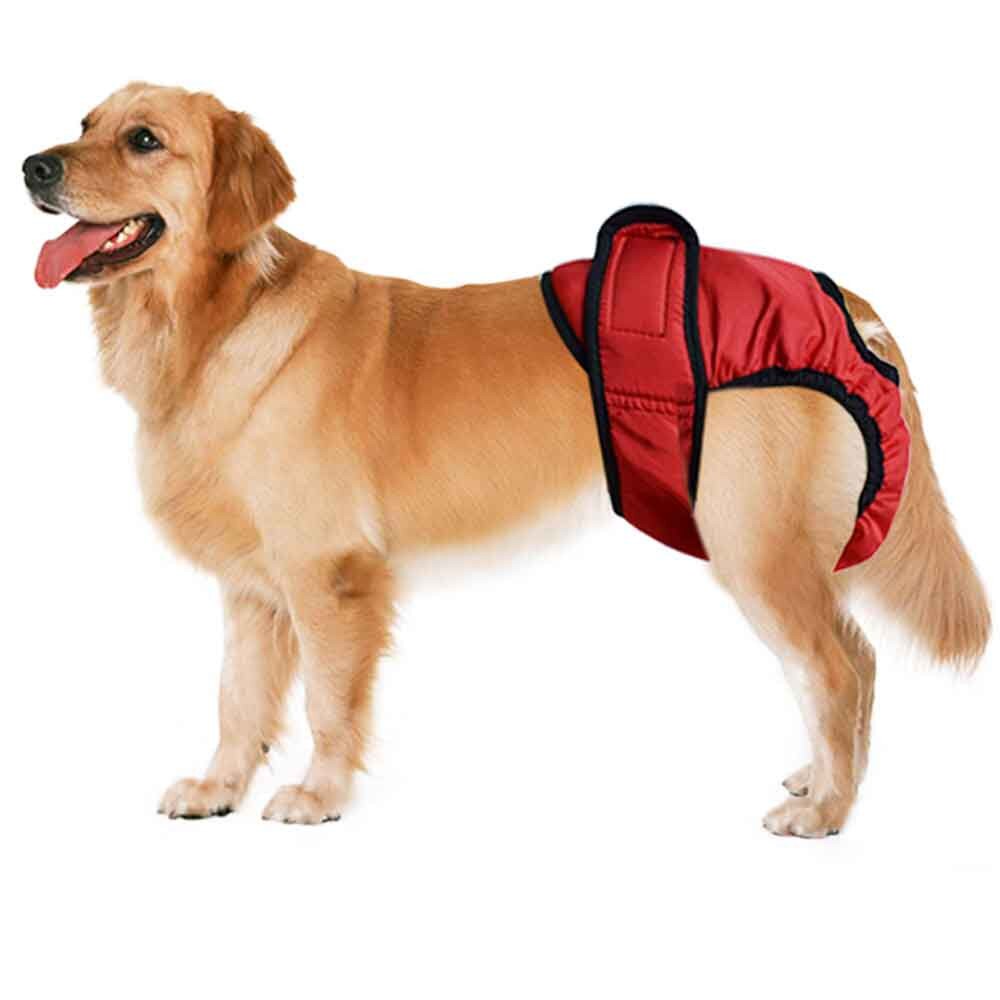 Cute Pet Dog Physiological Pants In Season Sanitary Pants Camouflage cool sell good spodenki sportowe: RED / L