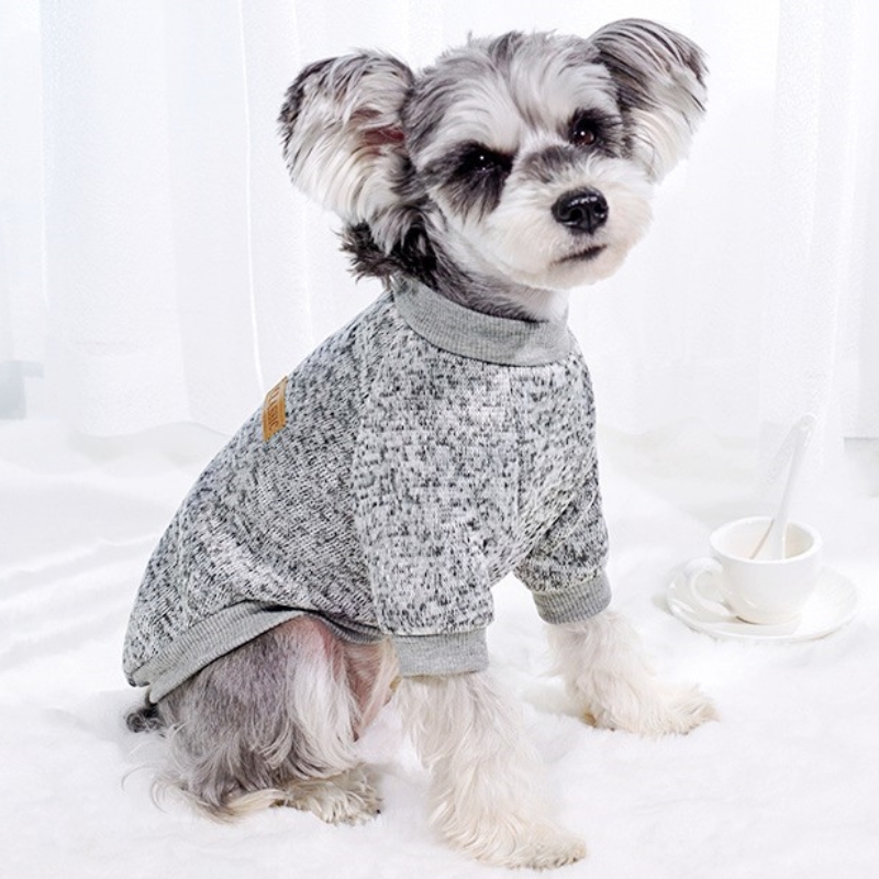 Dog Hoodies Autumn Dog Pullovers Cute Puppy Hoodies Warm Cat Sweatshirt Pet Outfits Chihuahua French Bulldog Dog Clothes