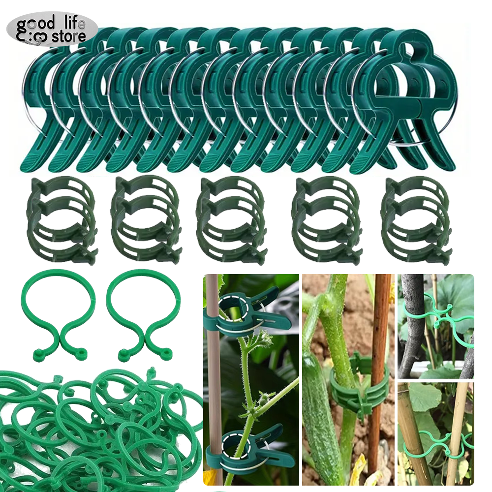 20 pièces Clips de cerclage de vigne de jardin plante groupée boucle porte-anneau tomate jardin plante Support outil jardinage Supports outils