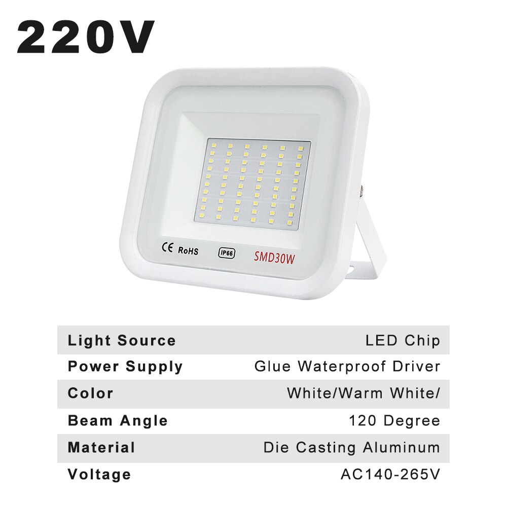 AC220V LED FloodLight 20W 30W 50W 100W Ip66 Waterproof Outdoor LED Flood Lights Spotlight Warm White For Billboard Stadium Park