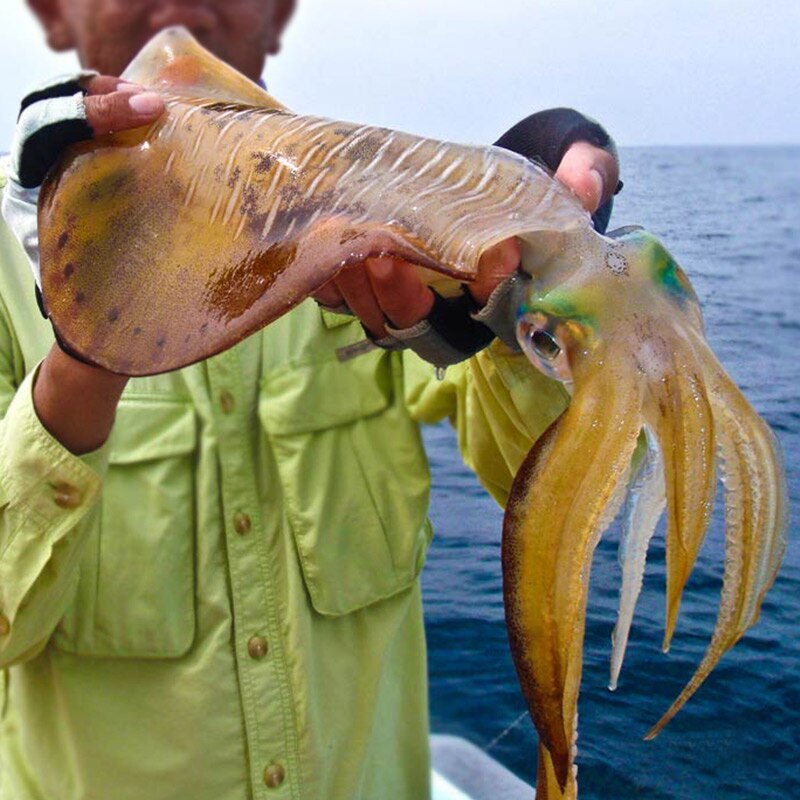 7 stk. lysende blæksprutte jigs lys paraply rustfrit stål krog fiskeri blæksprutte rejer 1.5 blæksprutte lokkemad lokke jigging