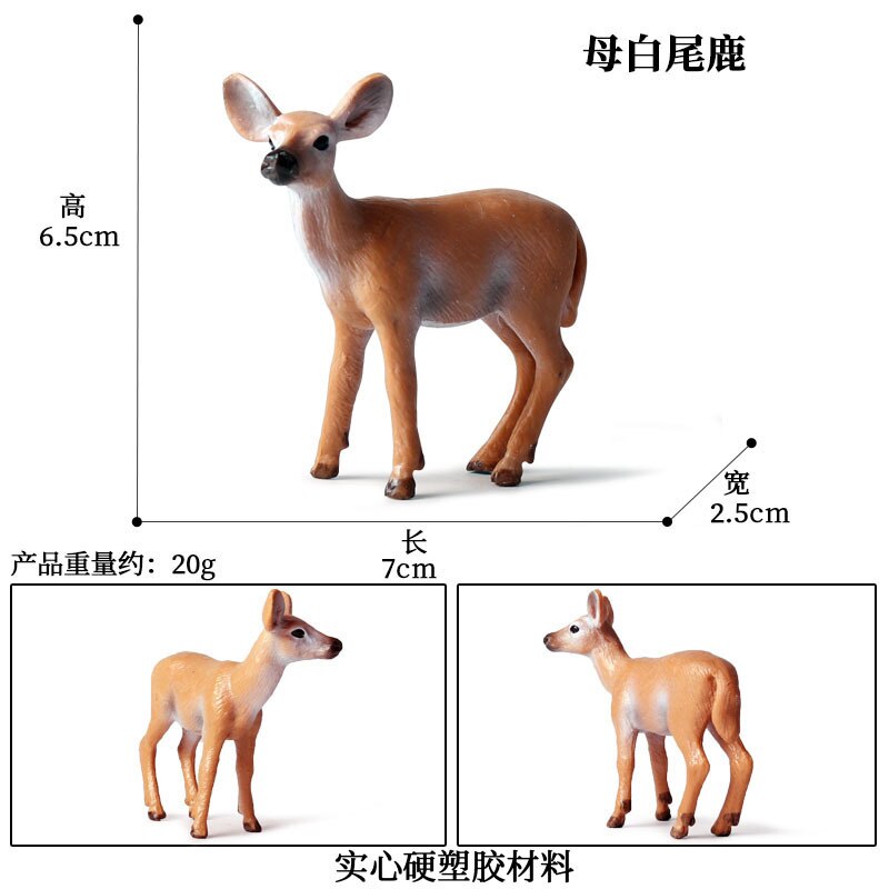 Simulatie Bos Wilde Dieren Rode Vos Beeldje Fawn Reindee Elanden Maned Wolf Action Figure Miniaturen Educatief Model Speelgoed: Deer Toys 2