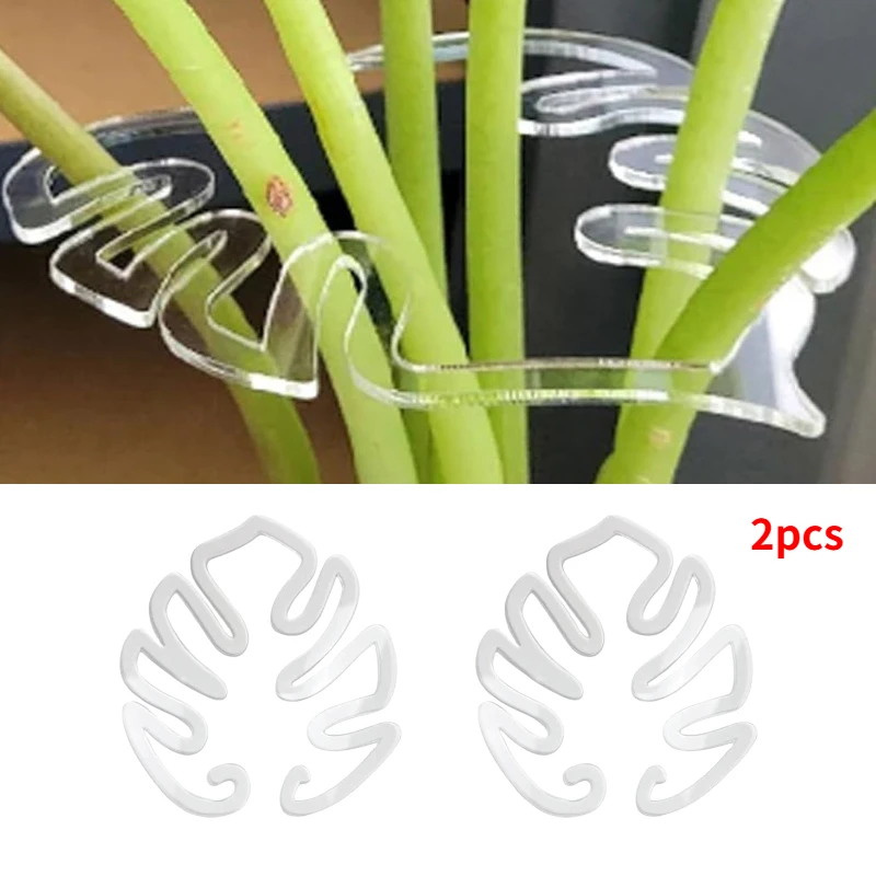 Turtle Shell Bamboo Clamp Set Monstera Grapple Plant Unique Aesthetic Monstera Plant Support Keeps Plants Tame Growing Vertical: Beige