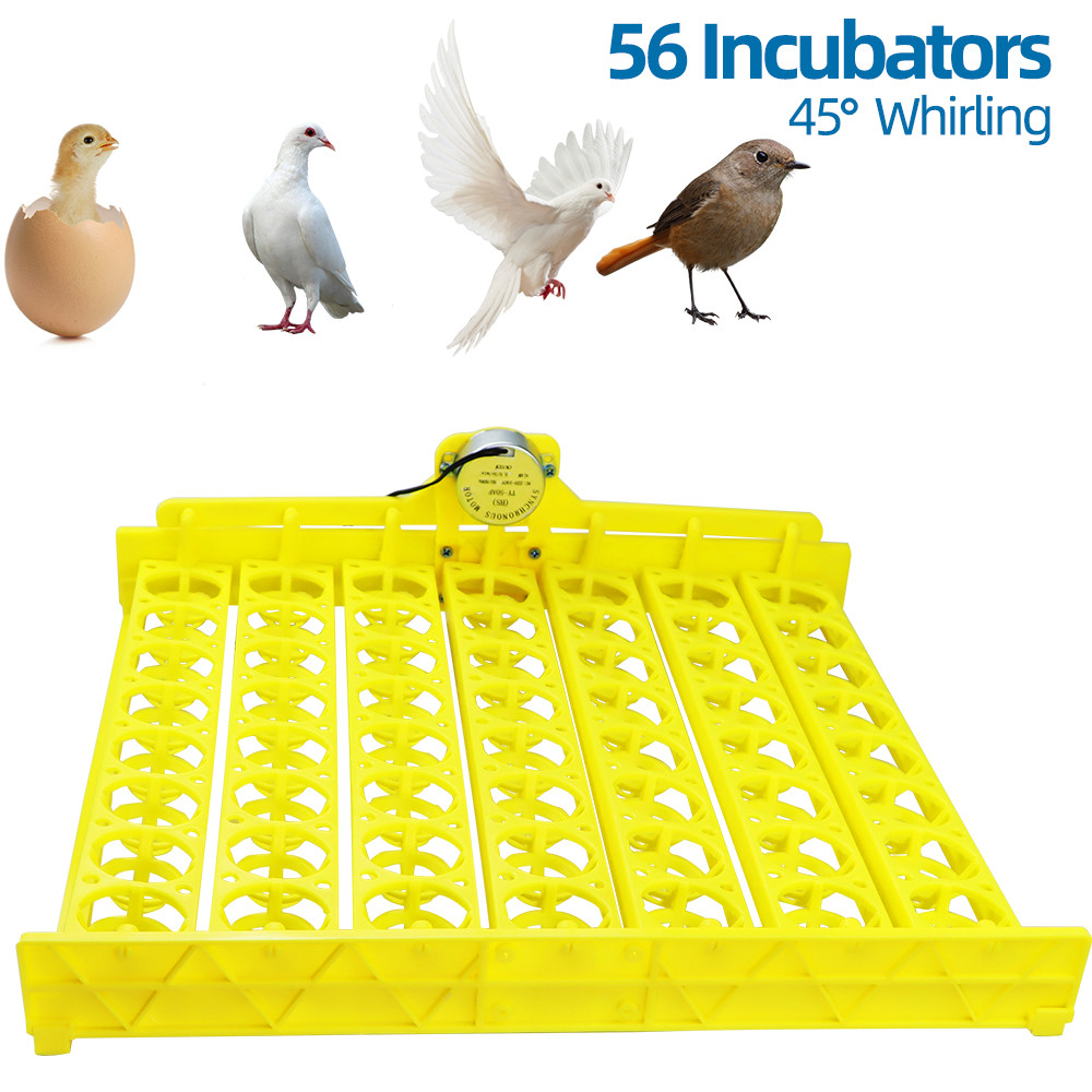 Automatic Egg Incubator Capacity 156/154/56/42/9 Duck Chicken Plastic Egg Tray Incubator Trays Hatching with Auto Turn Motor: green