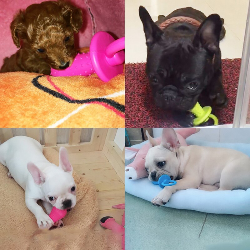 1pcs Trumpet Pet Toy Ball Molar Toy Random Color Durable Bite Resistant Interactive Taravel Portable Dog Toy Pet Supplies