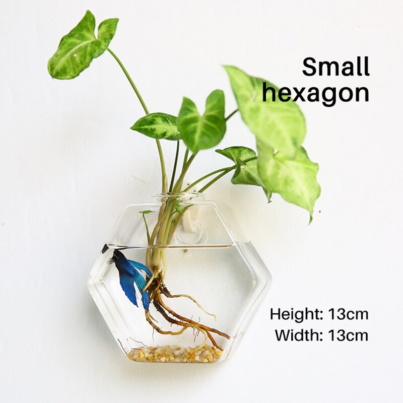 Foam Box Packing Aquarium Tank Fish Bowl Decoration Wall Hanging Aquatic Pet Supplies For Flower Arrangement Horticulture Fish: Small hexagon
