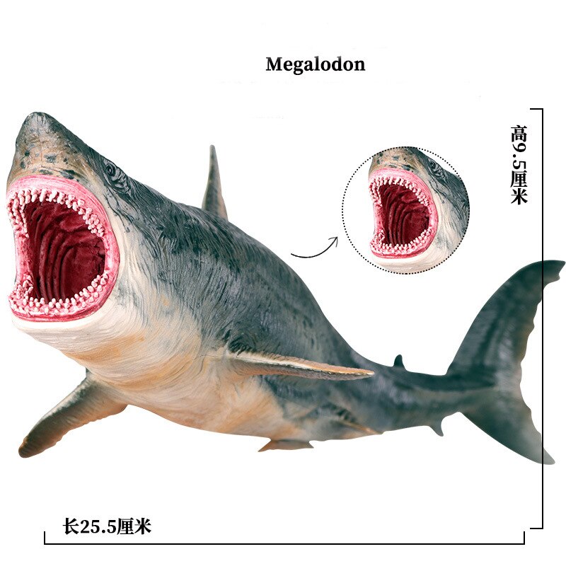 Simulatie Mariene Leven Onderwaterwereld Haai Model Megalodon Grote Witte Haai Tiger Shark Hammerhead Shark Speelgoed: Hollow Megalodon