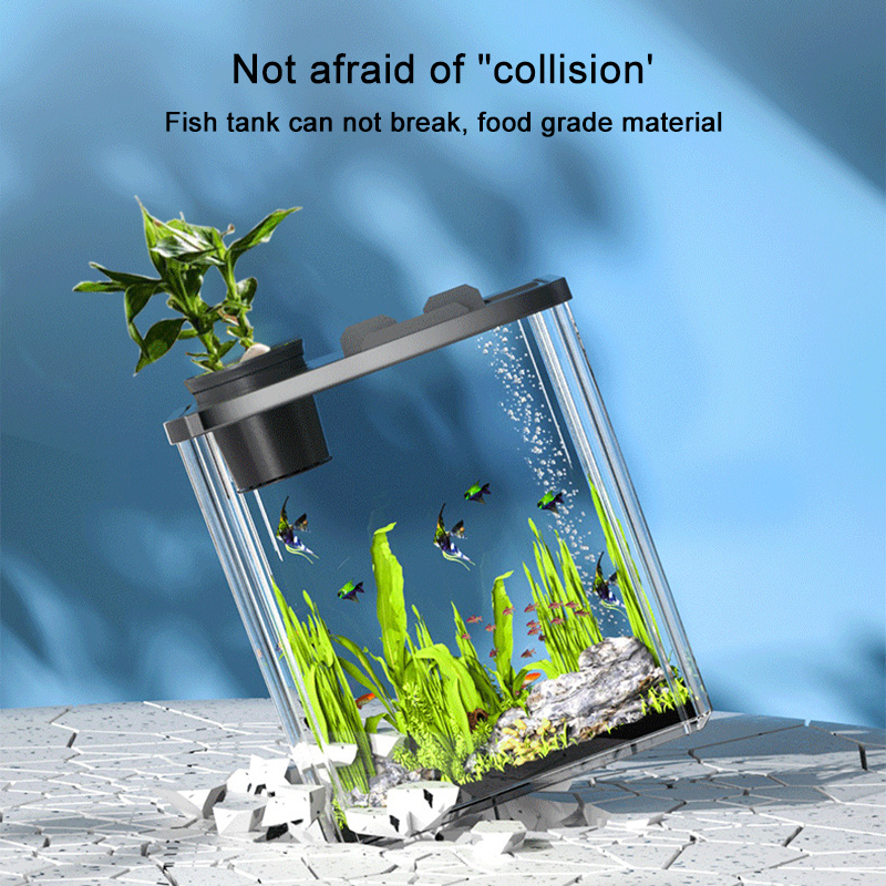 Acquari trasparenti in acrilico Plexiglass resistente agli urti Soggiorno su piccola scala Paesaggio Serbatoio ecologico Acquari e acquari