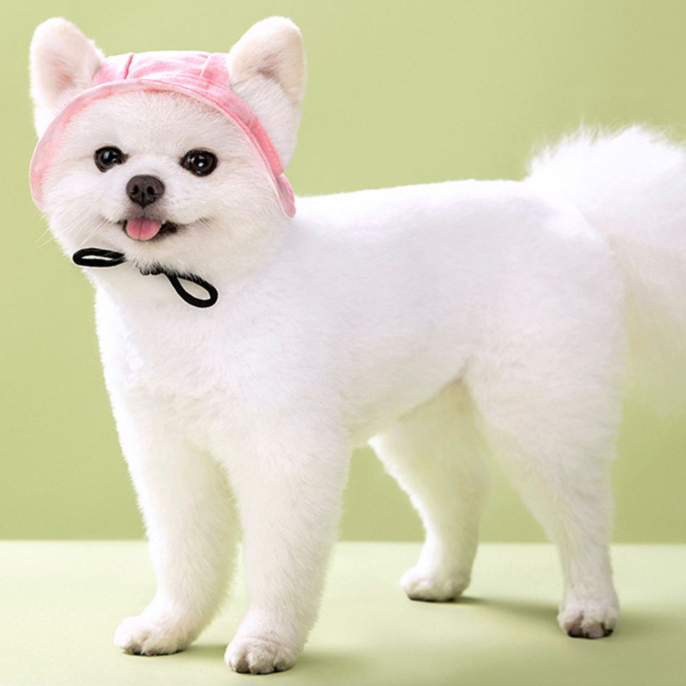 Mignon bouledogue français chapeaux pour animaux de compagnie avec trous d'oreille réglable chiot chien casquette chapeau pour petits chiens moyens carlin mascotas accessoires Costume