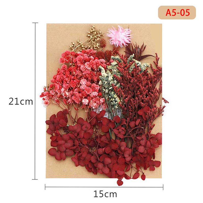 Fleur pressée mélangé fleurs séchées matériel pour bricolage aromathérapie bougies carte de voeux époxy artisanat boucles d'oreilles FAS6: Émeraude