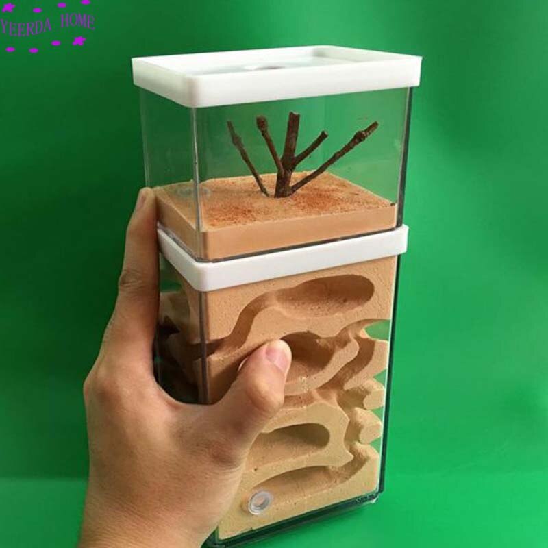 Easy Diy Ant Farm with feeding area Ants Castle Pet Cages insect house Workshop Insect Landscaping Housing workshop