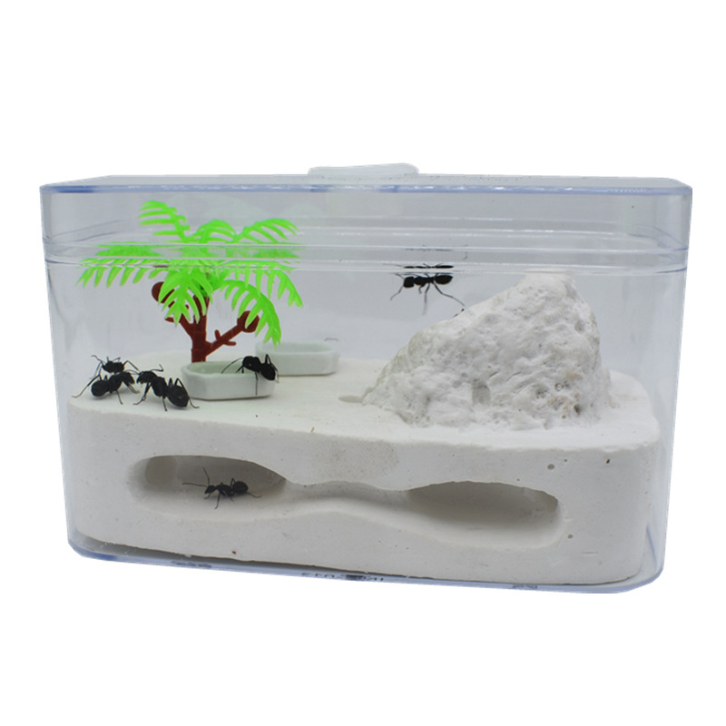 Ant House Ant Home Castle Eco Box Ant Nest Factory Cultivate Children's Interests Queen Ant Box Ant Workshop Pet Supplies