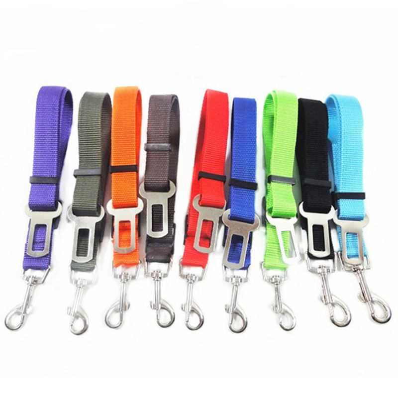 Huisdier Aangelijnd Kat Halsband Trekkabel Autogordel Intrekbare Nylon Materiaal Sterke Slijtvaste Huisdier Accessoires