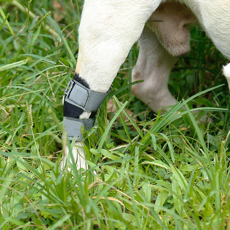 1pc korte ben hunde-bandage kæledyr knæpuder benbeskyttere beskytter sår heler anti-vrid fast beskyttelsescover