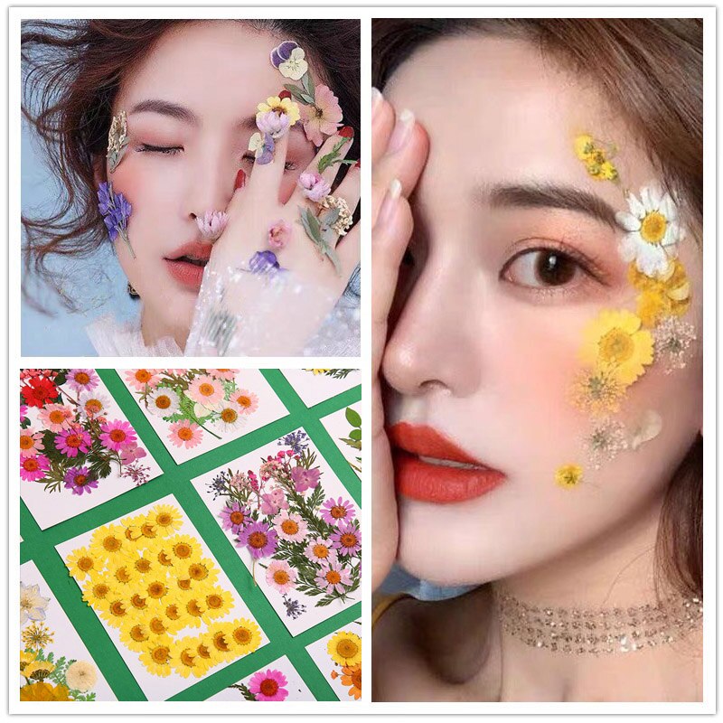 Pressed Flower Mixed Dried Flowers DIY Art Floral Decors Collection Craft DIY B99