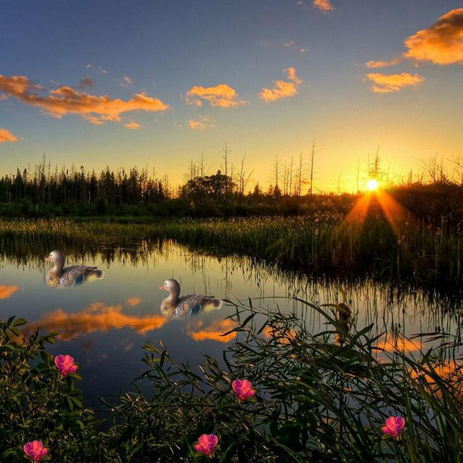 Garden Statue Outdoor Indoor Yard Art Statues and Sculptures Resin Flamingo Swan Minaiture Lifelike Bird Decor: Female Mandarin Duck