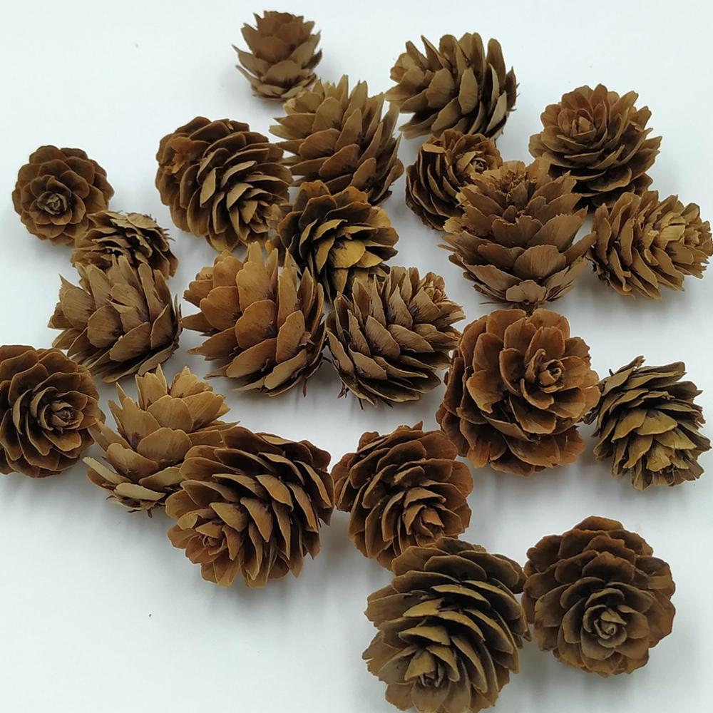 30Pcs Mini Decoratieve Dennenappel Voor Kerst Dennenappels Vaas Kom Filler Displays Craft S Kerst Huis Boom Opknoping Ornament: Default Title