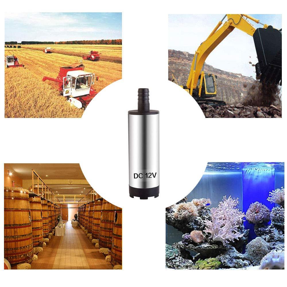 12V DC Electric Submersible Pump for Pumping Diesel Oil Water Stainless Steel Shell 12L/min Fuel Transfer Pump 12 V Volt