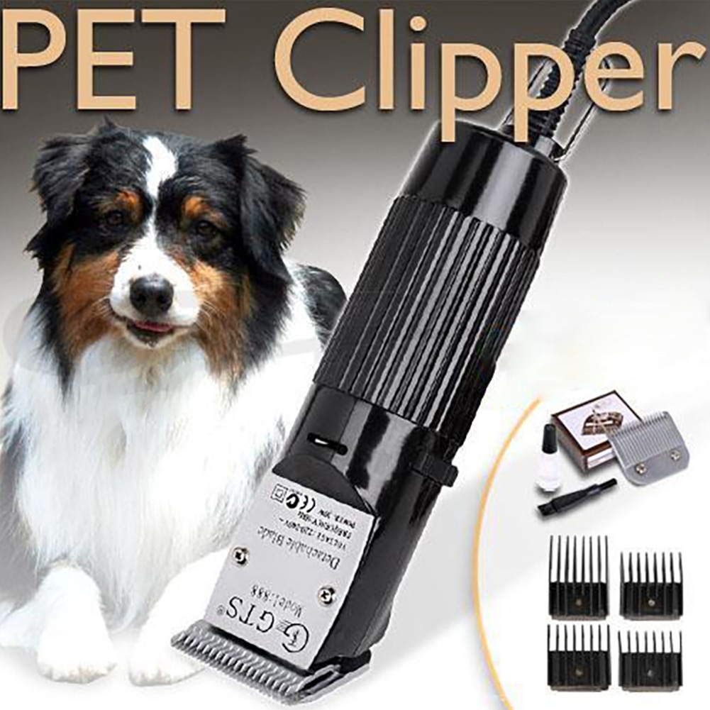 GTS888-cortadora de pelo para perros y mascotas, cortadora de pelo eléctrica, cortadora de pelo, maquinilla de afeitar, herramienta de afeitar