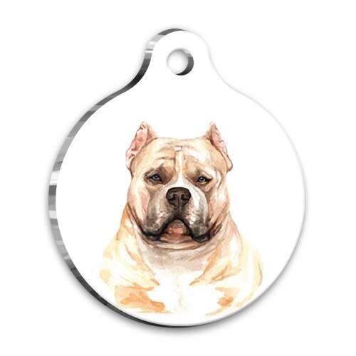 Bracelet en aquarelle pour chien américain Bully