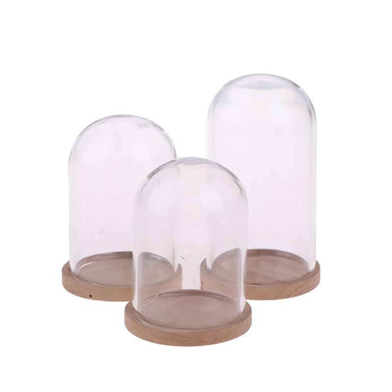 Vases de décoration en verre, présentoir de fleurs, Cloche, dôme, préservation immortelle + Base en bois, couvercle en verre de fleur éternelle