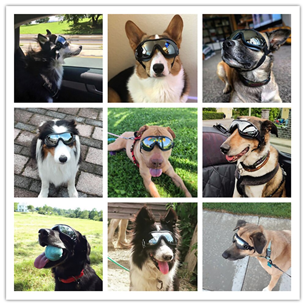 Skydd små dogglar hundsolglasögon sällskapsdjur skyddsglasögon uv skydda solglasögon ögonkläder simning visa sällskapsdjur tyg tillbehör