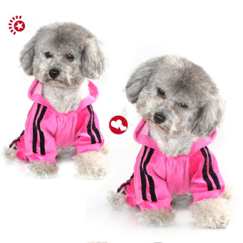 Ropa de perro de terciopelo sudaderas con corona de diamantes de imitación mono de animales de lujo para cachorros de Chihuahua Yorkshire suministros