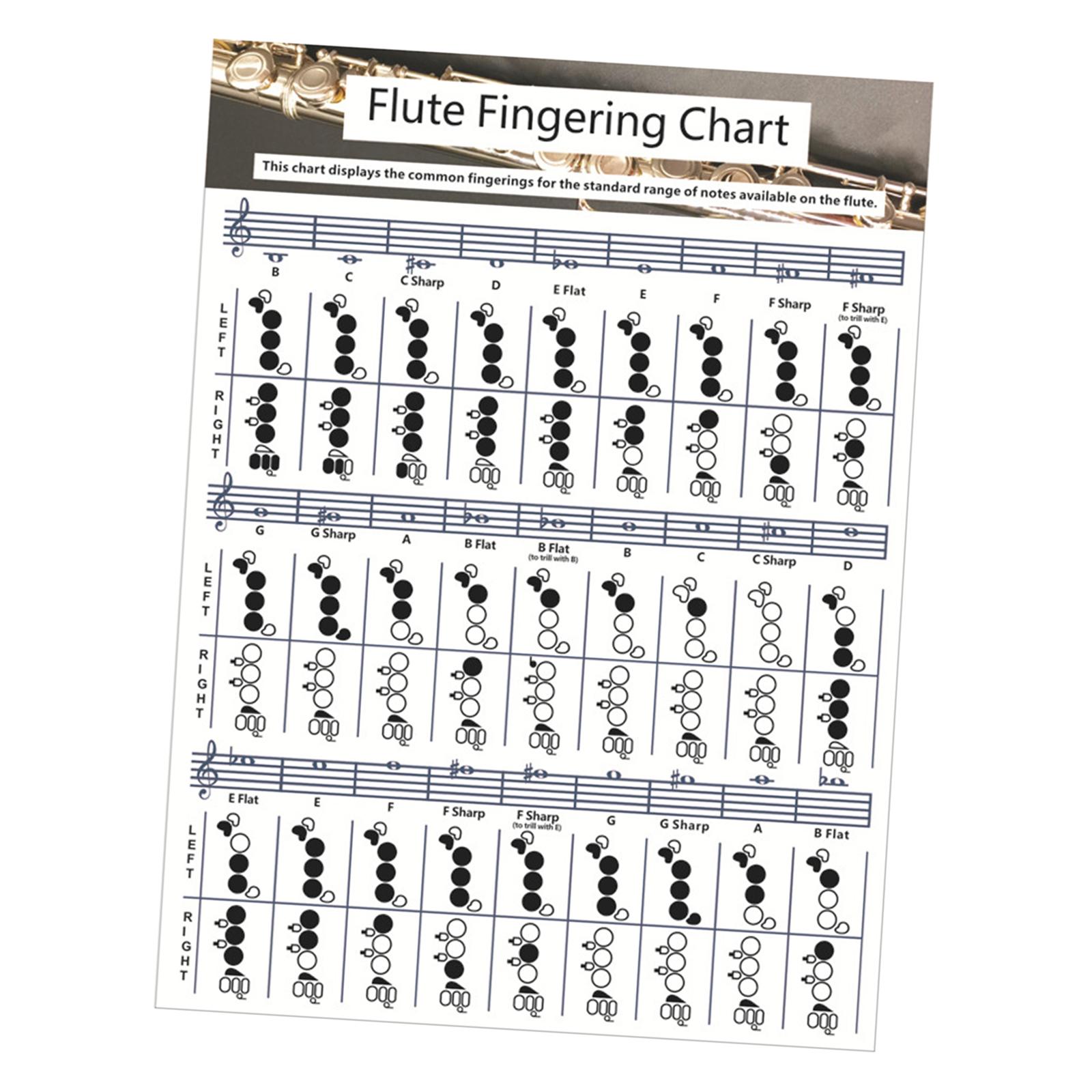 Flute Chart Educational Music Chords Poster for Starter Learning Kids