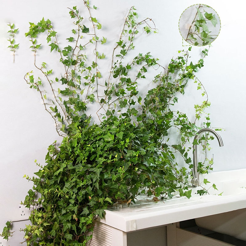 1Pack S/M/L Size Invisible Wall Plastic Clamp Clip Plant Climbing Wall Clip Wall Vines Fixture Wall Sticky Hook Holder