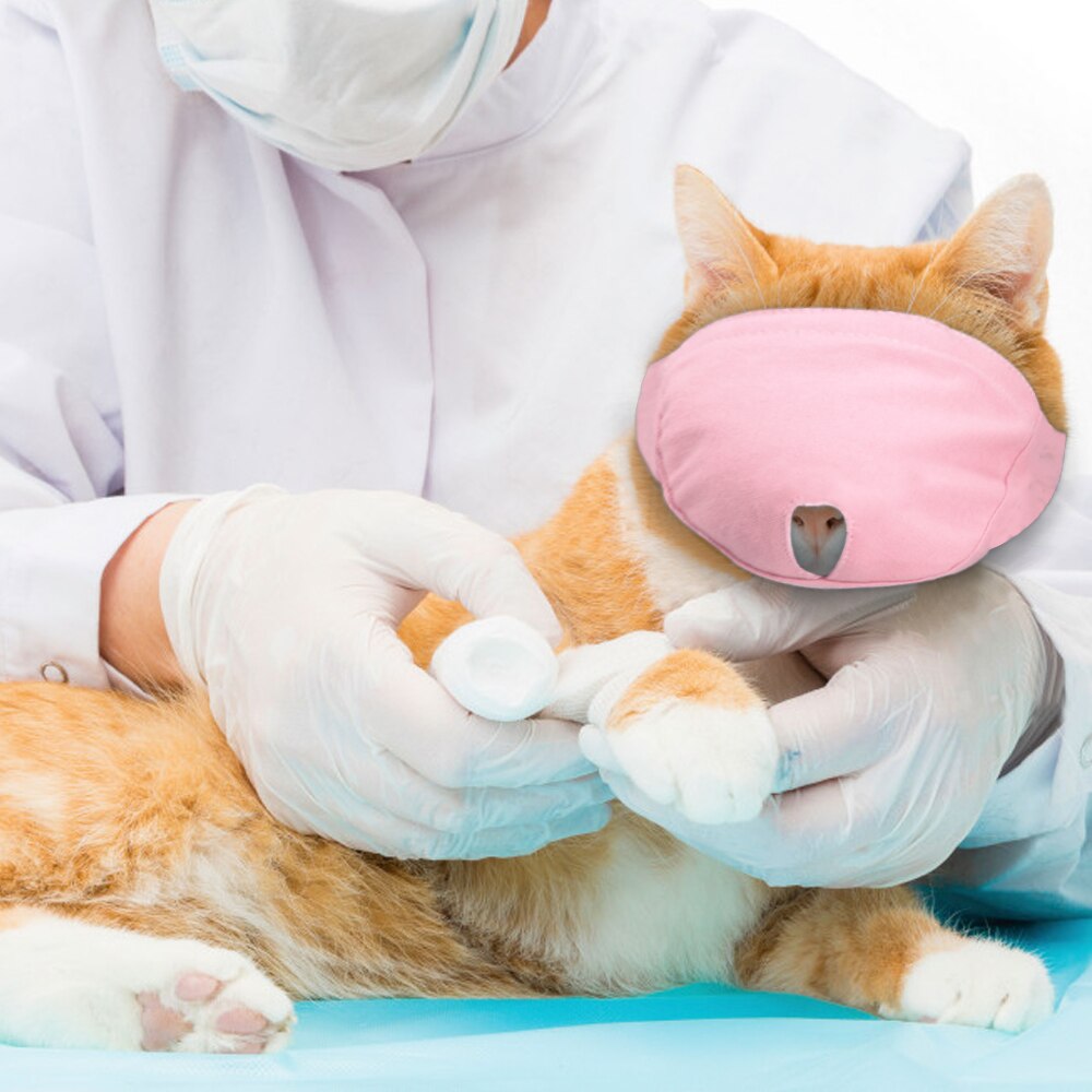 Breathable Cat Muzzle Anti Bite Kitten Muzzles Mask Cats Bathing Grooming Bag Pet Supplies