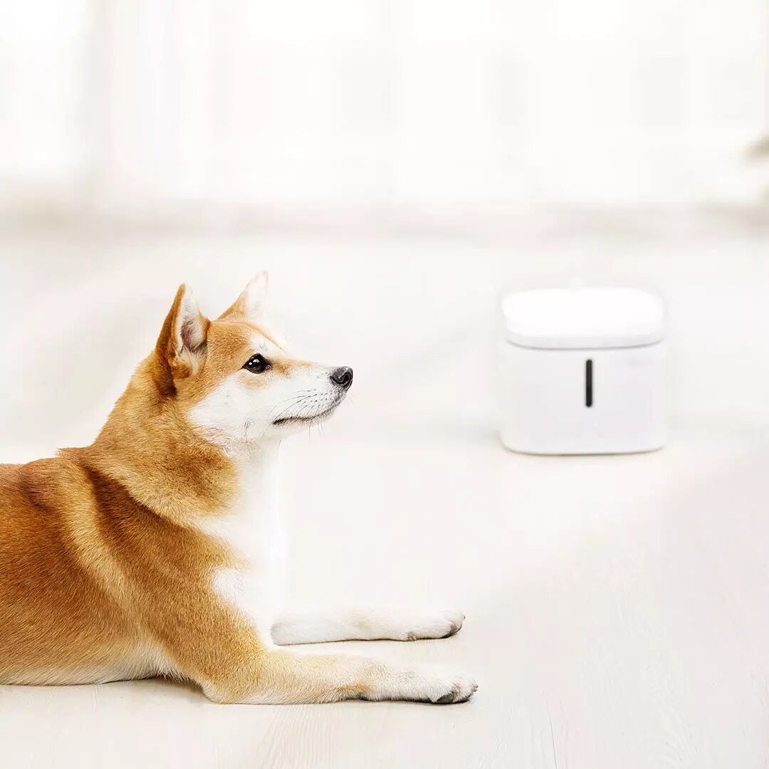 Xiaomi, kæledyrs vanddispenser, kattevandskilde , 2l elektrisk springvand, smart hund automatisk drikker, firdobbelt filtrering