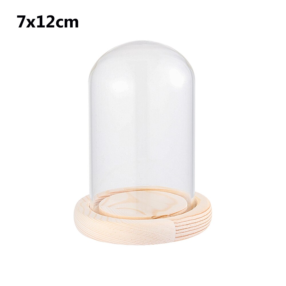 1Pcs Sferische Glas Cloche Jar Display Stand Cover Terrarium Fles Met Houten Base Acryl Stofkap Display Box Bloem doos: 7x12cm with base