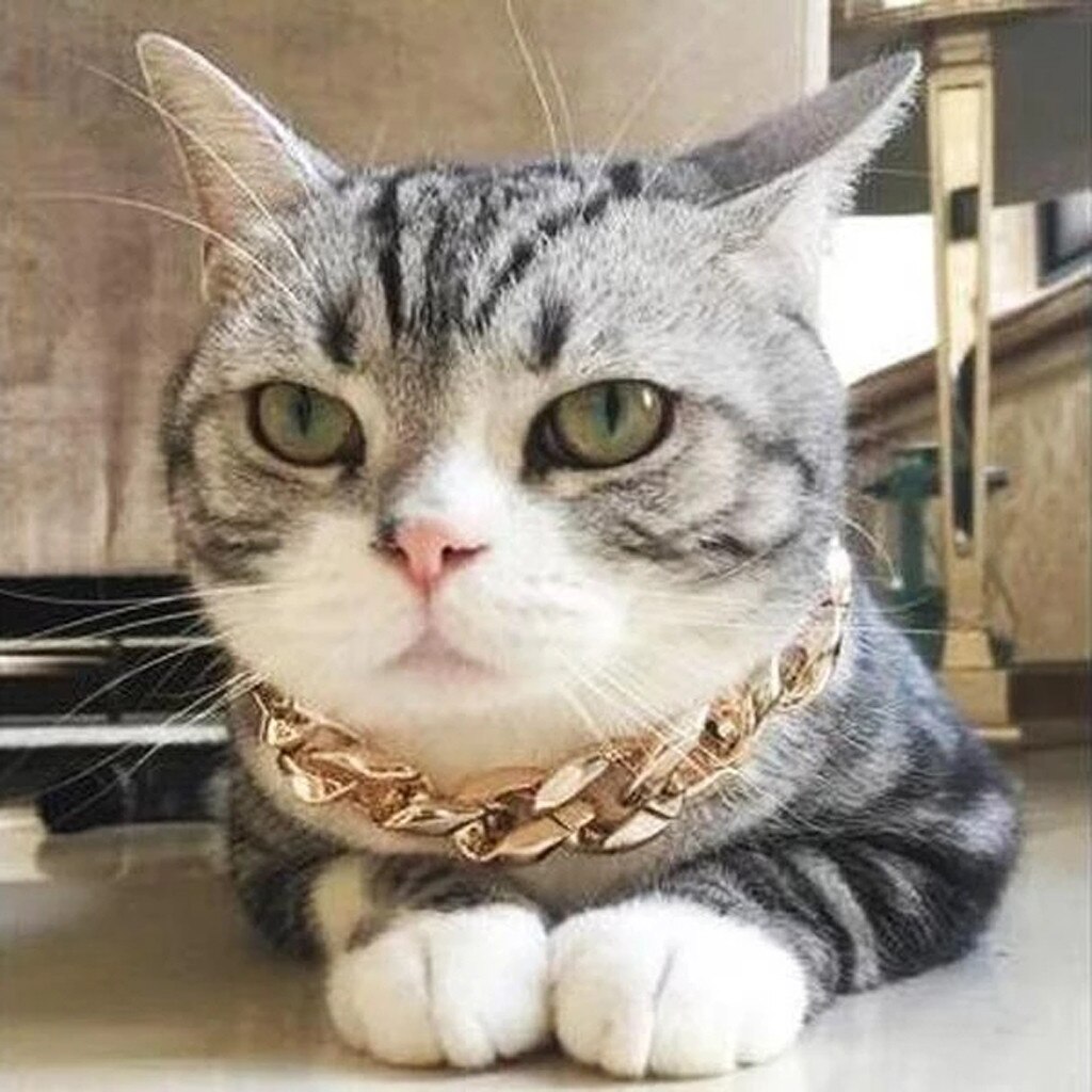 Hip Hop Pet Necklace Cuban Link Thick Golden Chain Dog Cat Gold Chain Pets Safety Collar 45cm Stylish Funny P3