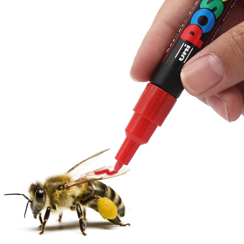 1Pc Queen Bee Marker Plastic Bijenteelt Mark Pen 5 Kleuren Optioneel Niet Vervagen Bee Identificatie Apparatuur Bijenteelt Gereedschap
